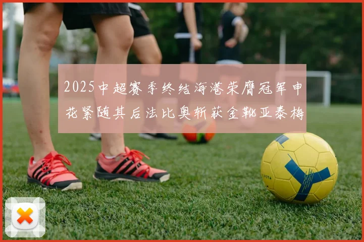 2025中超赛季终结海港荣膺冠军申花紧随其后法比奥斩获金靴亚泰梅州遗憾降级